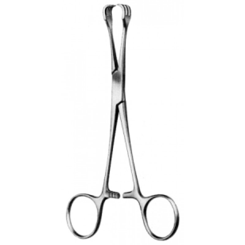 LAHEY Goitre Seizing Forceps
